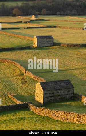 Stone Field Barns at Gunnerside, Swaledale, North Yorkshire, Yorkshire Dales National Park. Winter (February 2019) Stock Photo