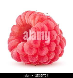 Raspberry isolated on white background, clipping path, full depth of field Stock Photo