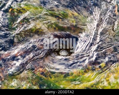 The raging whirlpool on surface of the deep river in blur the background Stock Photo