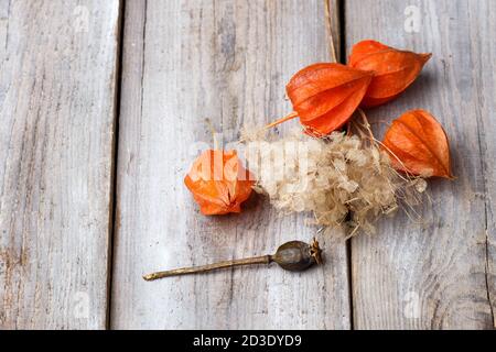 dry flowers of hydrangea and red physalis on rustic wooden background with copy space Stock Photo