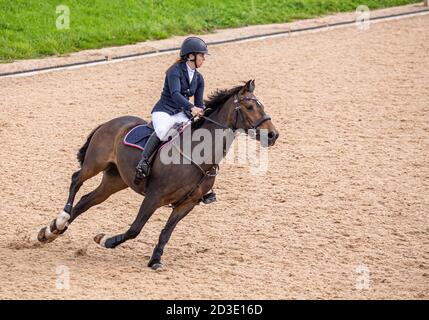 A showjumping horse galloping along with a young equestrian female rider practicing her sport. Stock Photo
