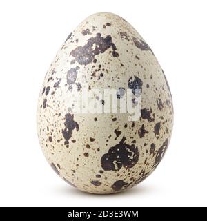 quail egg, isolated on white background, clipping path, full depth of field Stock Photo