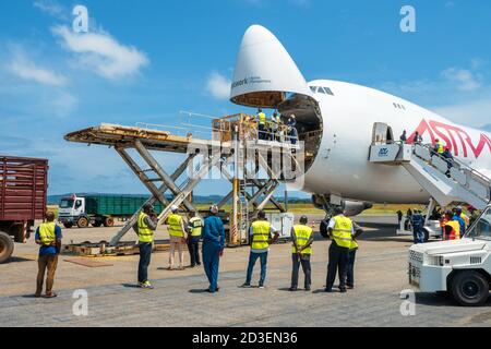 Livestock in wooden boxes being offloaded by a high-loader from a Jumbo Jet with a wide open nose cargo door and transferred into a cattle carrier Stock Photo