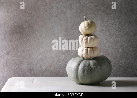 Grey Confection and white whole uncooked decorative pumpkins in stack on white marble table with grey wall at background. Autumn minimalist decoration Stock Photo