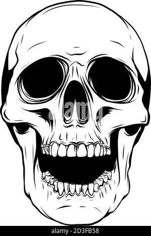 Vector Illustration Of A Skull In Black Silhouette Against A Clean 