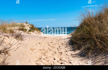 View of the Atlantic Ocean looking through a sand dune at Montauk Beach with footprints in the center and beach grass on the sides. Stock Photo