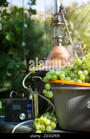 homemade moonshine winemaking; white grape and moonshine still for home brandy production Stock Photo