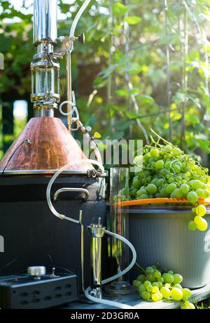 homemade moonshine winemaking; white grape and moonshine still for home brandy production Stock Photo