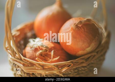 Three ripe, juicy onions lie in a small wicker basket, illuminated by the sunlight. Of natural vegetables. Rich harvest. Stock Photo