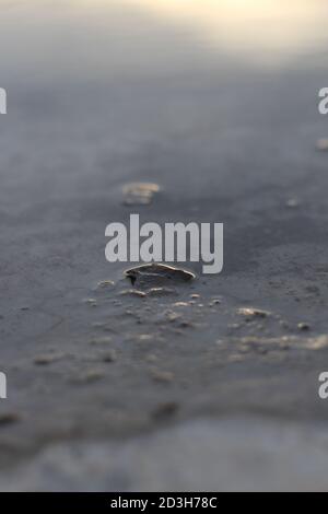 The water reflection on the floor. Stock Photo