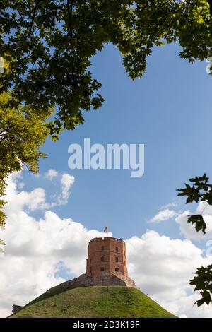 A view of the Gedinimas tower in 2020. A red tower on the hill. Stock Photo