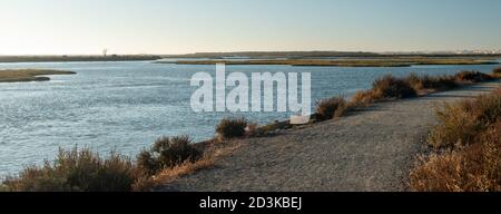 Panoramic photograph in which you can see a path through a lake with a dry tree on the left while on the right is the silhouettes of houses. Stock Photo