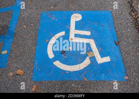 Blue with the universal Handicap symbol signage painted on the ground in a parking lot at a park for accessibility to the trails Stock Photo