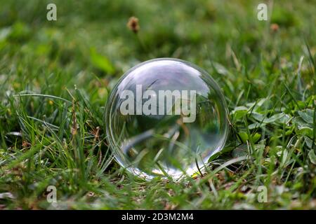 Transparent glass ball lies on a meadow in the grass Stock Photo