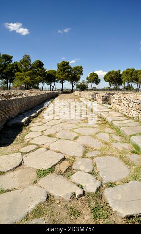 Italy, Basilicata, Venosa, archaeological park, roman road Stock Photo