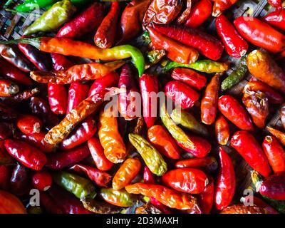 Very spicy red chillies kept for drying. bhut jolokia ( bhoot jolokia ) with dry chilli .The Bhut jolokia, also known as ghost pepper, ghost chili. Stock Photo