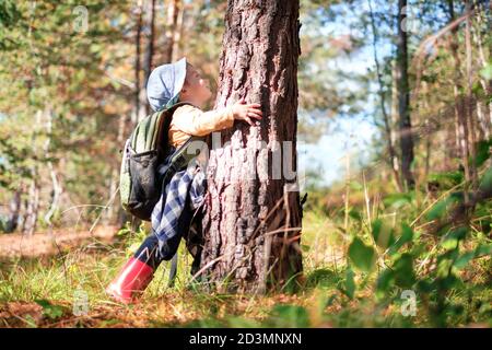 Small kid in yellow sweater hugs a pine tree in autumn forest. Childhood with nature loving concept Stock Photo