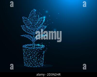 Abstract polygonal illustration of a flower in a pot. Ficus made from lines and dots on a dark blue background Stock Vector