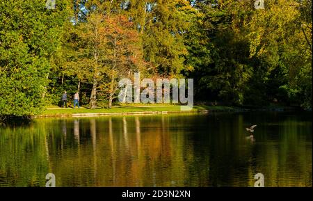 Gosford Estate, East Lothian, Scotland, United Kingdom, 8th October 2020. UK Weather: Autumn sunshine reflections. Walkers at the artificial lake with Autumn trees reflected in the water Stock Photo