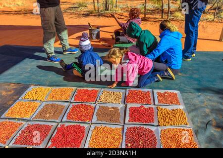 Kings Creek Station, Northern Territory, Australia - Aug 21, 2019: children play with variety colorful bush seeds gathered at Karrke Aboriginal Stock Photo