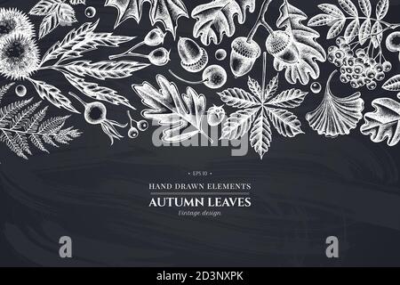 Monochrome design with chalk fern, dog rose, rowan, ginkgo, maple, oak, horse chestnut, chestnut, hawthorn Stock Vector