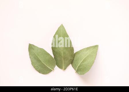 Simple flat lay image featuring three gum leaves on cream colored background with copy space Stock Photo