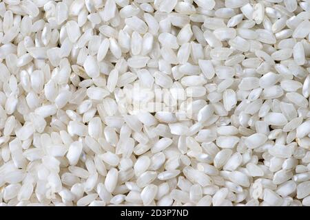 White rice seed texture as background. Top view Stock Photo