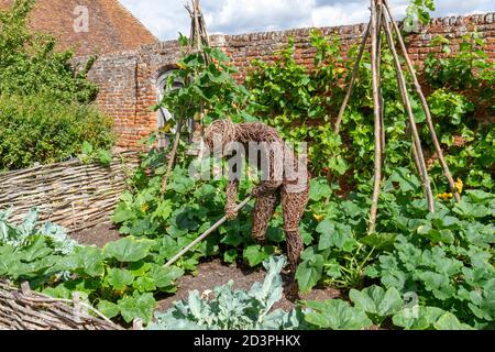 Wicker man figure in the Tudor walled garden, Cressing Temple Barns, Essex, UK. Stock Photo