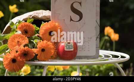 Back to School - Concept. Beautiful Autumn Flowers, Red Apple and September Calendar - on Garden Table in Sunny Day. Academic Season Start. Horizontal Stock Photo