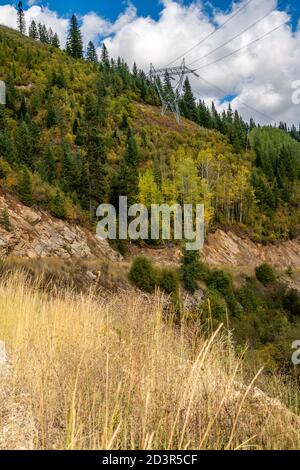 Autumn Colors On Moon Pass. Wallace, Idaho. Stock Photo