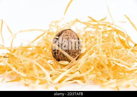 walnut and a cracked walnut isolated on the white background Stock Photo