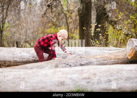 Childhood activity in forest. Male kid climb and balance on fallen tree trunks at autumn park, wearing red shirt and jeans Stock Photo