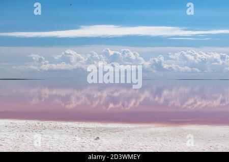 Pink salt lake coast with white salt, pink water surface and mirror reflection of magic clouds on blue sky. Syvash or Sivash, the Putrid Sea or Rotten Stock Photo