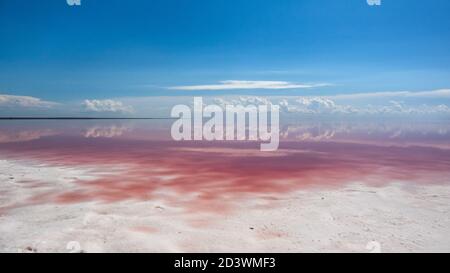 Pink salt lake coast with white salt, vivid pink water surface and mirror reflection of clouds on blue sky. Syvash or Sivash, the Putrid Sea or Rotten Stock Photo