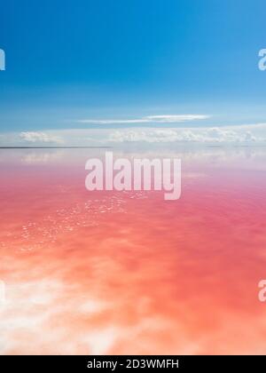 Pink salt lake coast with white salt, mirror water surface and blue sky. Syvash or Sivash, the Putrid Sea or Rotten Sea, Ukraine. Vertical Stock Photo