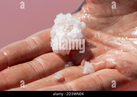 Hand holding pink white salt flake crystal formation near pink vibrant lake water surface. Spa resort sunny close-up on Syvash, Ukraine Stock Photo