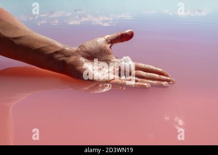 Hand holding pink white salt flake crystal formation in pink vibrant reflective lake water surface. Spa resort sunny close-up on Syvash, Ukraine Stock Photo