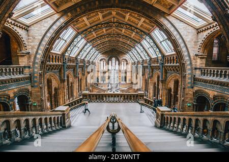LONDON, SEPTEMBER 20: People visit the National History Museum - museum of life and earth science and one of the top attractions of London. London, UK Stock Photo