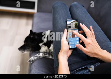 Smart House CCTV Security Camera App On Mobile Phone Stock Photo