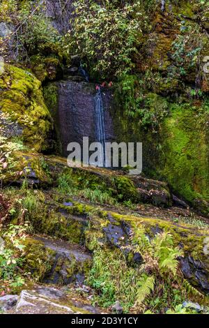 Small Waterfall On Moon Pass, Wallace, Idaho Stock Photo