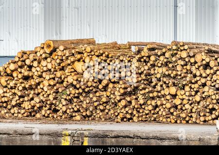 Stack of firewood ad wood logs waiting to be loaded on cargo ship for export in Wicklow commercial port, Ireland Stock Photo