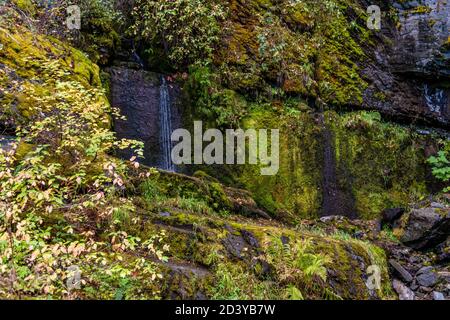 Small Waterfall On Moon Pass, Wallace, Idaho Stock Photo