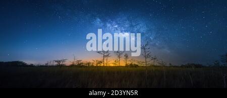 The Milky Way at dawn about an hour before sunrise at Everglades National Park. This was photographed in the Dwarf Cypress Forest within the park. Stock Photo