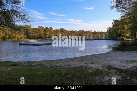 WAKULLA SPRINGS, FLORIDA, UNITED STATES - Oct 20, 2018: The wide swimming area and swimming platforms at Wakulla Springs, a part of Edward Ball Wakull Stock Photo