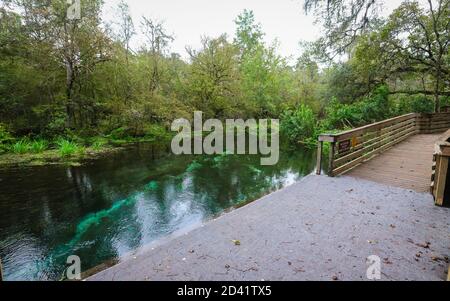 FORT WHITE, FLORIDA, UNITED STATES - Oct 21, 2018: The put in point for floaters in the river at Ichetucknee Springs State Park, a popular place for p Stock Photo