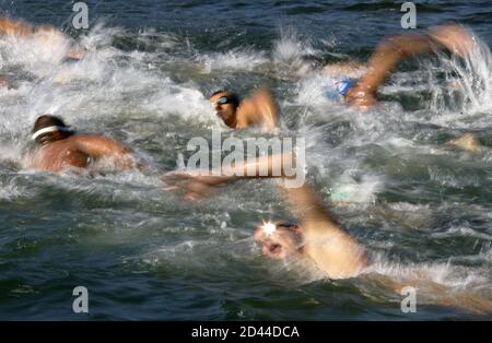 swimming goggles montreal