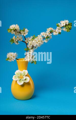 Flowering branch of cherry, or apple, or plum in a vase on a blue background. Abstract flower background. Stock Photo