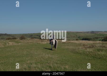 Female Riding a Horse on the Chalk Grassland of Devil's Dyke up on the South Downs in Rural West Sussex, England, UK Stock Photo