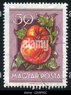 HUNGARY - CIRCA 1954: stamp printed by Hungary, shows Anyos Jedlik ...