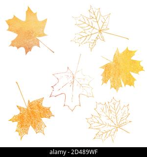 drawing autumn set of colorful leaf of trees and butterflies isolated ...